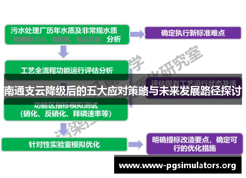南通支云降级后的五大应对策略与未来发展路径探讨 南通支云降级后的五大应对策略与未来发展路径探讨