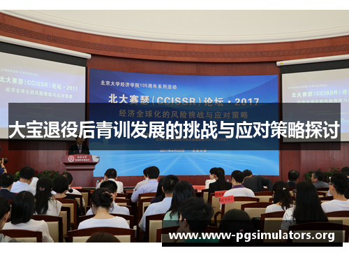 大宝退役后青训发展的挑战与应对策略探讨 大宝退役后青训发展的挑战与应对策略探讨