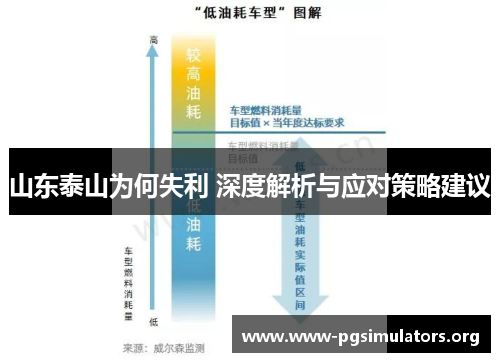 山东泰山为何失利 深度解析与应对策略建议 山东泰山为何失利 深度解析与应对策略建议