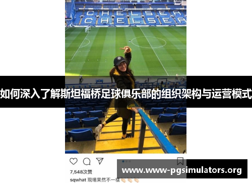 如何深入了解斯坦福桥足球俱乐部的组织架构与运营模式 如何深入了解斯坦福桥足球俱乐部的组织架构与运营模式