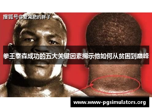 拳王泰森成功的五大关键因素揭示他如何从贫困到巅峰 拳王泰森成功的五大关键因素揭示他如何从贫困到巅峰