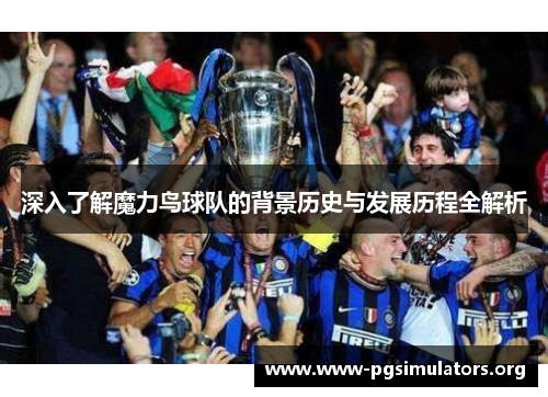 深入了解魔力鸟球队的背景历史与发展历程全解析 深入了解魔力鸟球队的背景历史与发展历程全解析