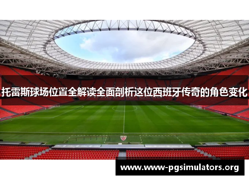 托雷斯球场位置全解读全面剖析这位西班牙传奇的角色变化