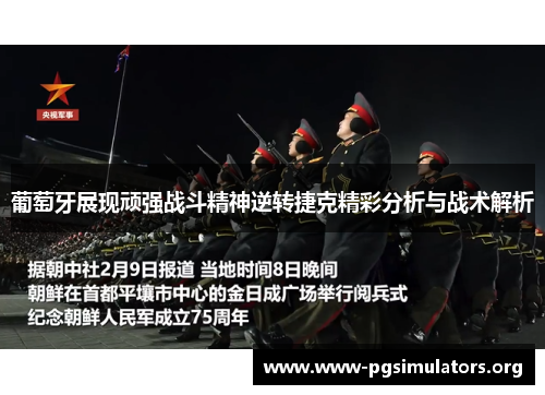 葡萄牙展现顽强战斗精神逆转捷克精彩分析与战术解析 葡萄牙展现顽强战斗精神逆转捷克精彩分析与战术解析