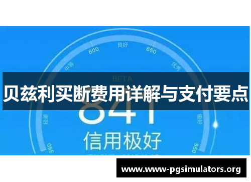 贝兹利买断费用详解与支付要点 贝兹利买断费用详解与支付要点